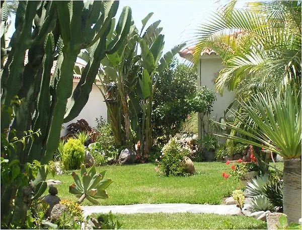 Sun Club Premium Otel 4*